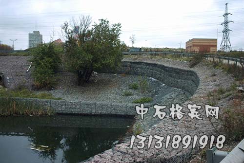 zsgebin35.jpg