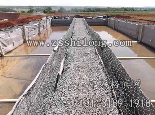 zsshilong23.jpg