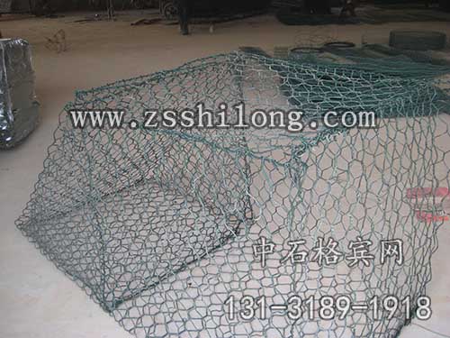 zsshilong29.jpg