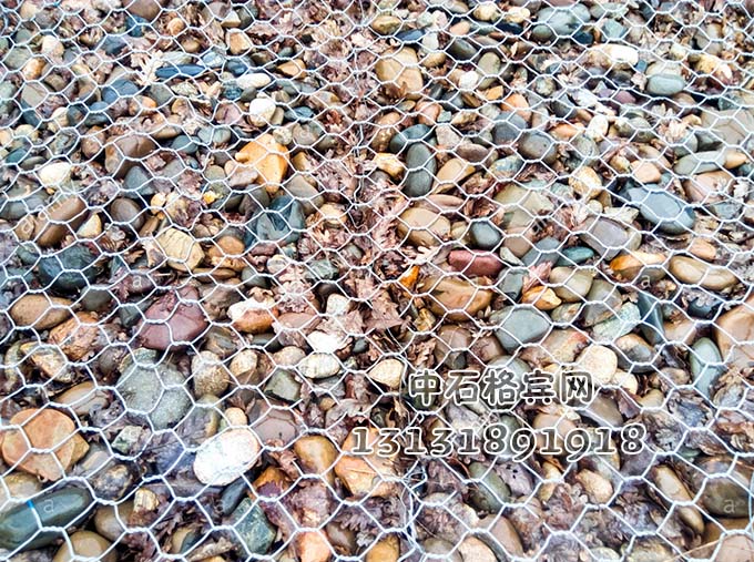 高爾凡格賓網(wǎng)13131891918 高爾凡格賓網(wǎng)13131891918