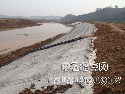 雙隔板格賓護(hù)墊