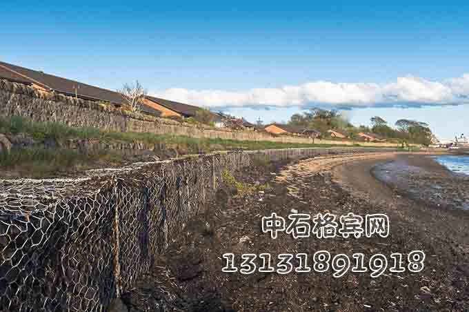 雙隔板雷諾護(hù)墊